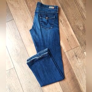 AG Adriano Goldschiemd The Decade boot cut sz 29